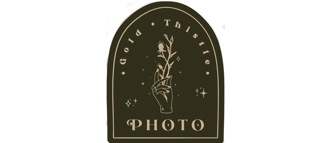 Gold Thistle Photo New Haven Connecticut's Best top-rated photographers. Engagement, wedding, family, portrait, newborn, headshot photography.